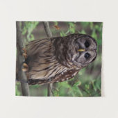 Barred Owl Wandkleed (Voorkant (horizontaal))