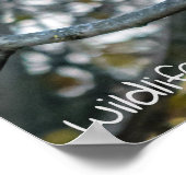 Barred Owl Wildlife Matters! Poster (Hoek)