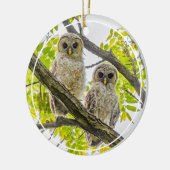 Barred Owlets Springtime Keramisch Ornament (Links)