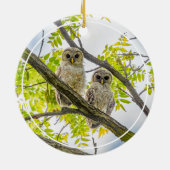 Barred Owlets Springtime Keramisch Ornament (Achterkant)