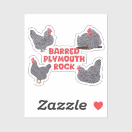 Barred Plymouth Rock Chickens Sticker