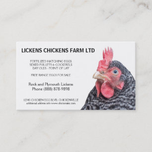 Barred Rock Chicken Egg Farmer Visitekaartje