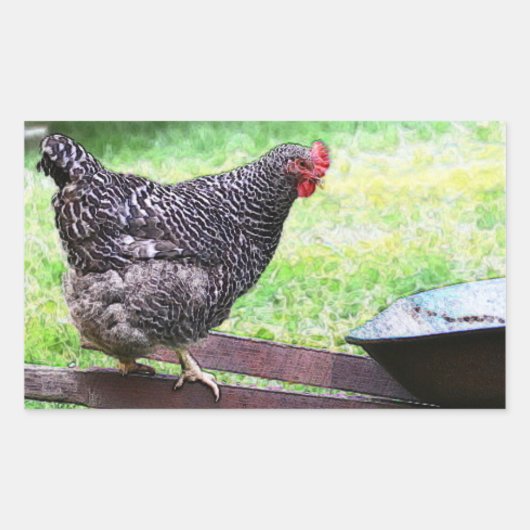 Barred Rock hen op kruiwagen Sticker (Voorkant)