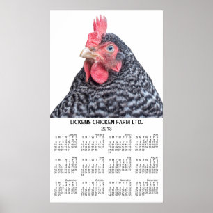 Barred Rock Kip Muur Jaarlijkse Kalender 2013 Poster