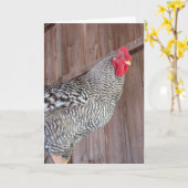 Barred Rock Rooster Kaart (Gele Bloem)