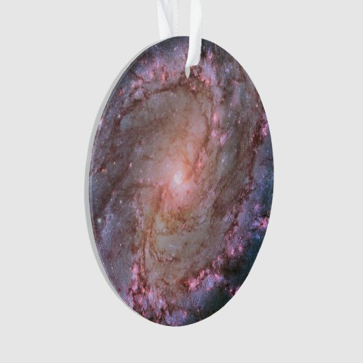 Barred Spiral Galaxy Messier 83. (devant)