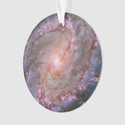 Barred Spiral Galaxy Messier 83. (devant)