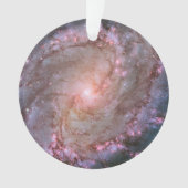 Barred Spiral Galaxy Messier 83. (devant)