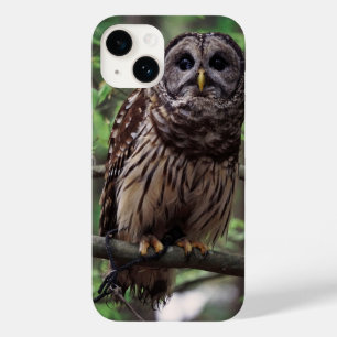 Barred Uil iPhone 14 Hoes