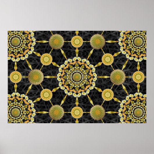 Barrel Cactus Array 1-Poster Poster (Voorkant)