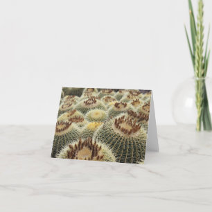 Barrel cactus card kaart