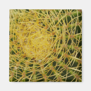 Barrel Cactus Close-up Abstracte Natuur Fotografie Magneet