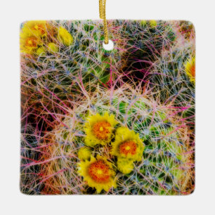 Barrel cactus close-up, Californië Keramisch Ornament
