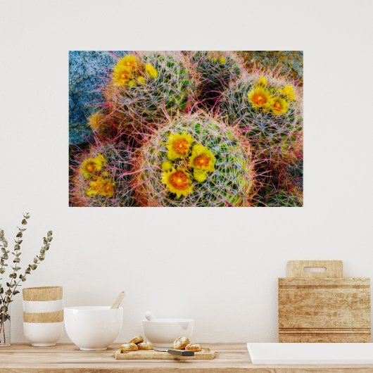 Barrel cactus close-up, Californië Poster (Keuken)