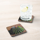 Barrel Cactus Dessous de verre en plastique (Côté Droit)