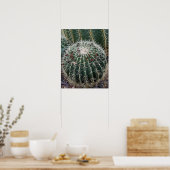 Barrel Cactus Foto Mexico - zuidwest Cacti Poster (Keuken)