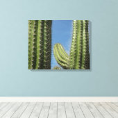 Barrel Cactus I Desert Foto Canvas Afdruk (Insitu (Houten vloer))