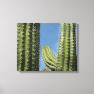 Barrel Cactus I Desert Foto Canvas Afdruk