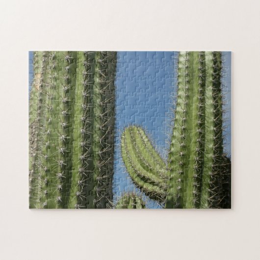 Barrel Cactus I Desert Foto Legpuzzel (Horizontaal)