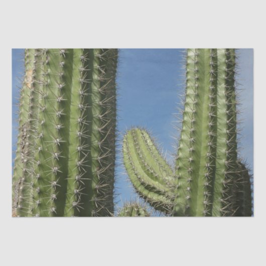 Barrel Cactus I Desert Foto Tissuepapier (Voorkant)