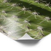 Barrel Cactus I Desert Photo (Coin)