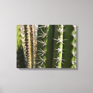 Barrel Cactus II Desert Natuur Foto Canvas Afdruk