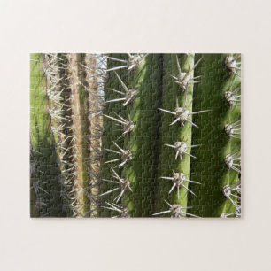 Barrel Cactus II Desert Natuur Foto Legpuzzel