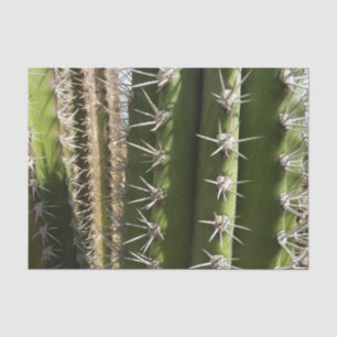 Barrel Cactus II Desert Natuur Foto Tissuepapier