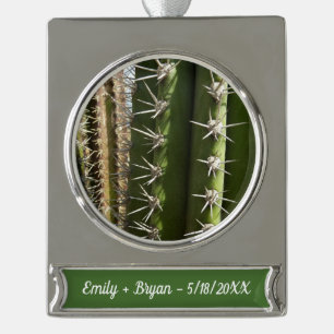 Barrel Cactus II Desert Natuur Foto Verzilverd Banner Ornament