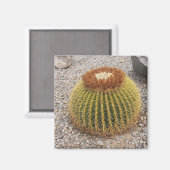 Barrel Cactus Magneet (Voorkant / Achterkant)