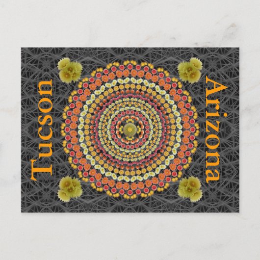 Barrel Cactus Mandala 2 comme carte postale (Devant)