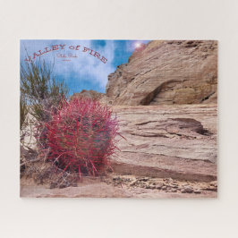 Barrel Cactus, Valley of Fire State Park, Nevada, Legpuzzel