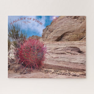 Barrel Cactus, Valley of Fire State Park, Nevada, Legpuzzel