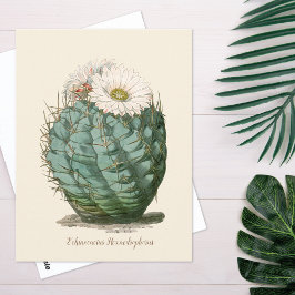 Barrel Cactus White Flower Briefkaart