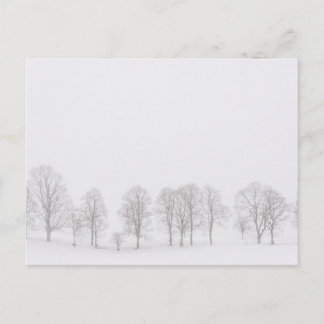 Barren arboré dans le monde blanc de neige carte p
