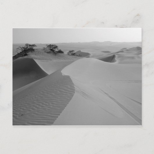 Barren Briefkaart (Voorkant)