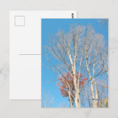 Barren Trees Briefkaart (Voorkant / Achterkant)