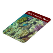 barrièrerif magneet (Linkerzijde)