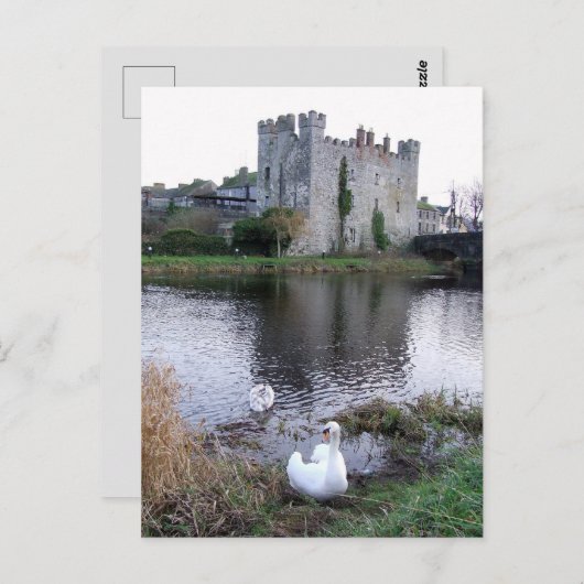 Barrow River Swan, White's Castle Athy Co. Kildare Briefkaart (Voorkant / Achterkant)