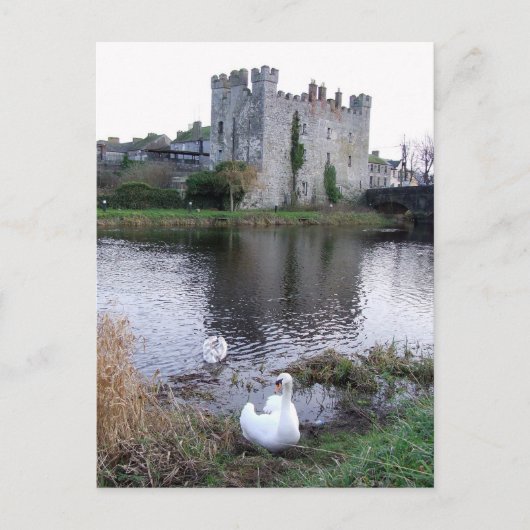 Barrow River Swan, White's Castle Athy Co. Kildare Briefkaart (Voorkant)