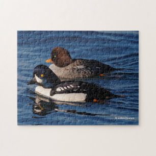 Barrow's Goldeneye Ducks op Stanley Park Seawall Legpuzzel