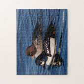 Barrow's Goldeneye Ducks op Stanley Park Seawall Legpuzzel (Verticaal)