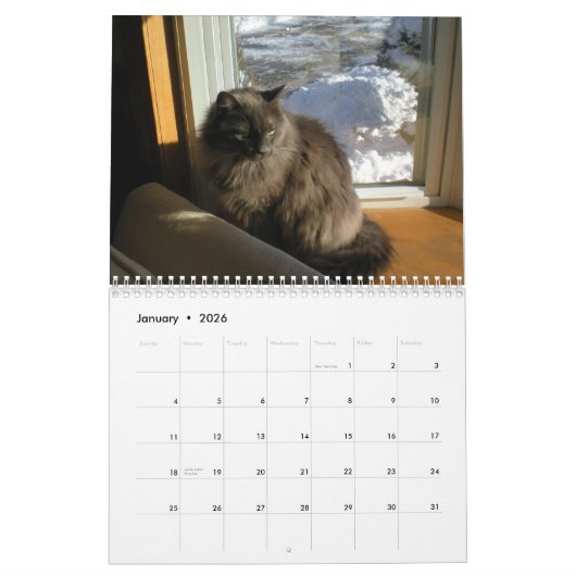 Bartholomew 2011 kalender (Jan 2026)