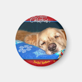 Barticus Kerstmagneet Magneet