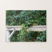 Bartlett Pears On Tree Orton Effet Jigsaw Puzzle (Horizontal)