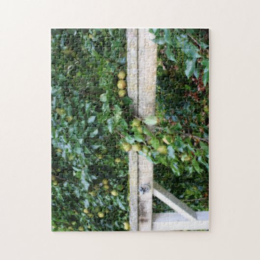 Bartlett Pears On Tree Orton Effet Jigsaw Puzzle (Vertical)