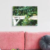 Bartlett Pears op Tree Hitching Post Canvas Afdruk (Insitu (Woonkamer))