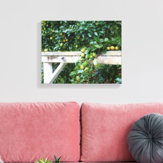 Bartlett Pears op Tree Hitching Post Canvas Afdruk (Insitu (Woonkamer))