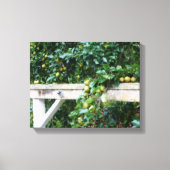 Bartlett Pears op Tree Hitching Post Canvas Afdruk (Voorkant)