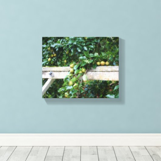 Bartlett Pears op Tree Hitching Post Canvas Afdruk (Insitu (Houten vloer))